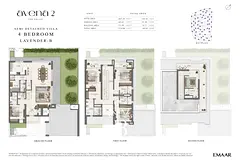 Large Plot | Single Row | Park View