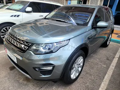 Land Rover Discovery/First Owner/No accident