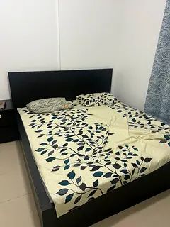 Master Bedroom with attached washroom near by Dubai sharjah border looking for kerala muslim couples