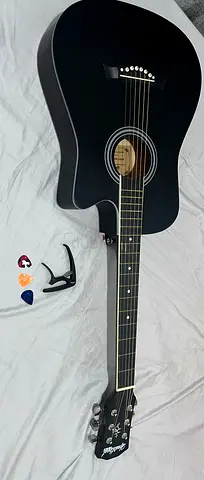 Acoustic Guitar