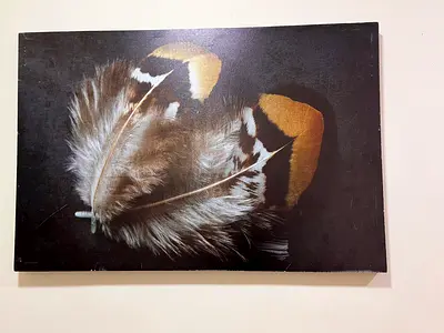 Photo frame
