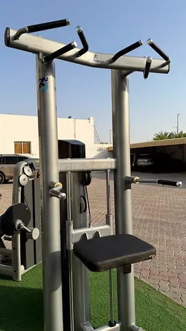 Used Multi-Grip Pull-Up  Dip Station — Commercial Gym Quality