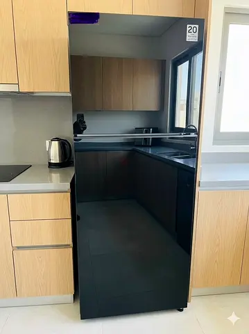 Black Mirror Finish Top Mount Refrigerator
