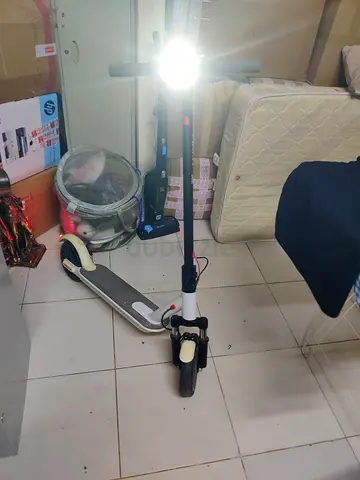 Electric scooter