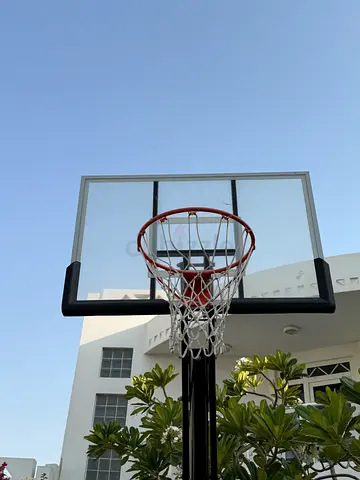 Sky Land Sports Basketball Hoop, Basketball Stand With Adjustable Height (8-10 Ft), 44 Shatterproof