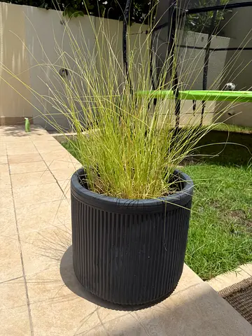 9 plants with large planters