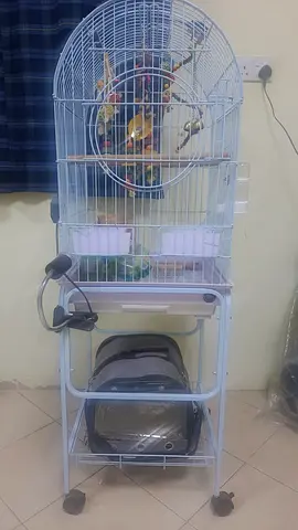 White metal bird cage with stand and accessories (good condition)