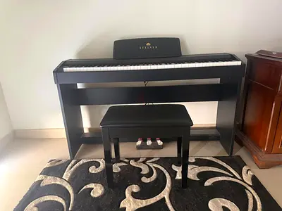 Steiner DP-400 with Bench - Black, Well Maintained