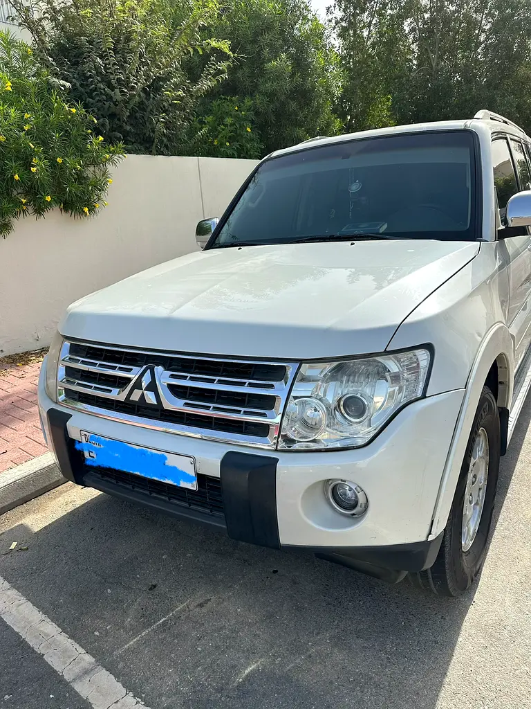 Mitsubishi Pajero 2009 — photo 1 of 8