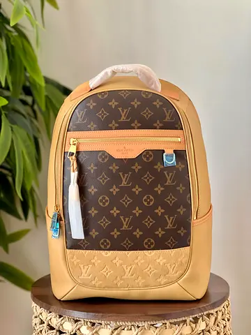 Louis Vuitton backpack