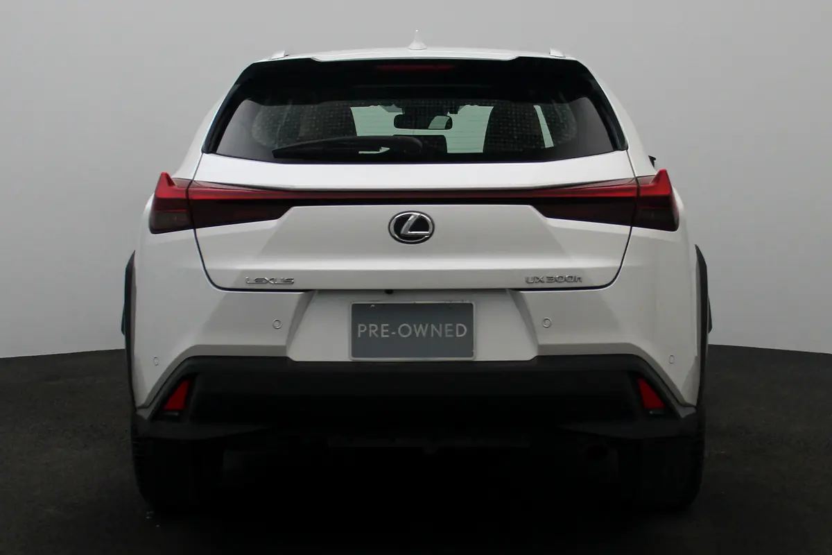 Lexus UX-Series 2024