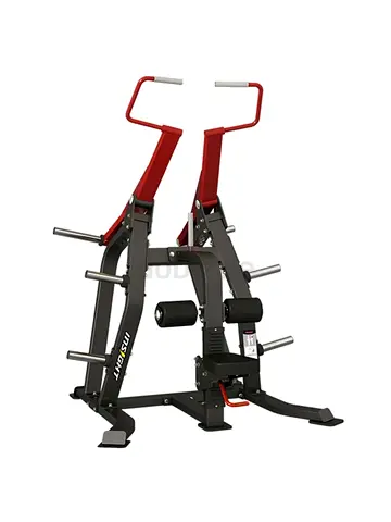 Insight Fitness DH006 Pull Down
