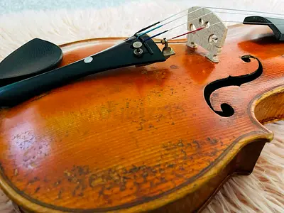 Used 4/4 Violin Stainer