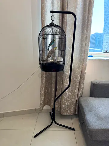 قفص
