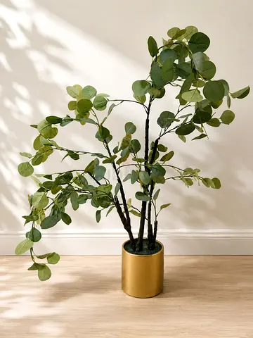Artificial Potted Eucalyptus Tree – Medium Height, Gold Planter