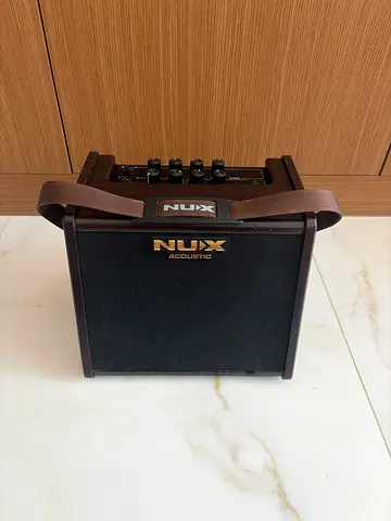 Acoustic guitar amp