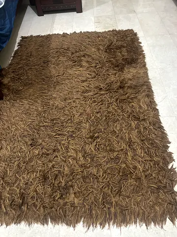 Soft Brown $%! Rug