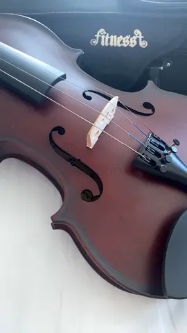 Violin for Sale
