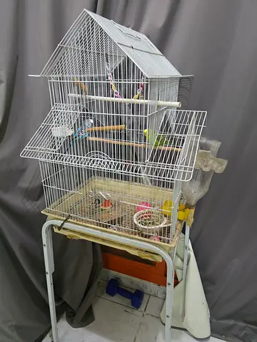 Large white bird cage on stand with accessories