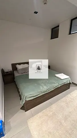 Spacious luxurious lush fully furnished partition studio apartment