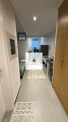 Spacious luxurious lush fully furnished partition studio apartment