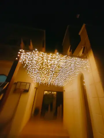 Outdoor Canopy String Lights - Warm White Fairy Lights (Used)