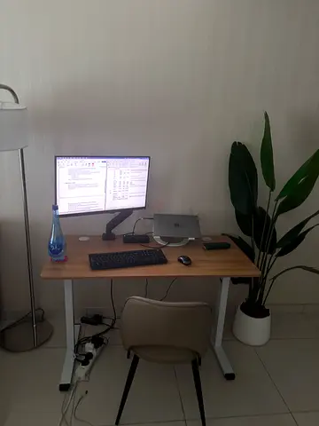 Electric Standup Desk with Monitor Arm (Monitor and docking station can be included)
