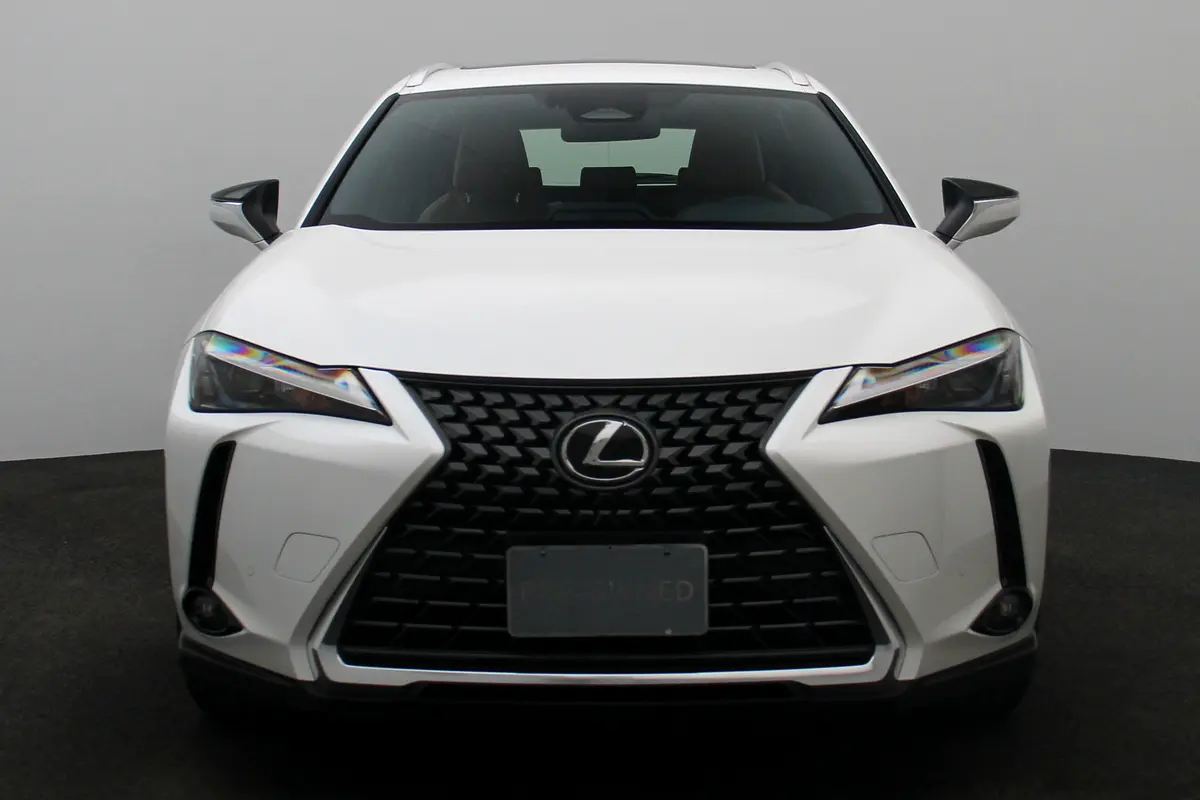 Lexus UX-Series 2024