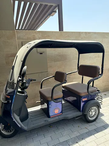 Electric buggy