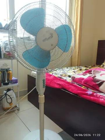Fan