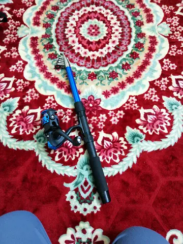Fishing rod