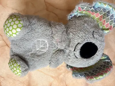 Teddy Bear
