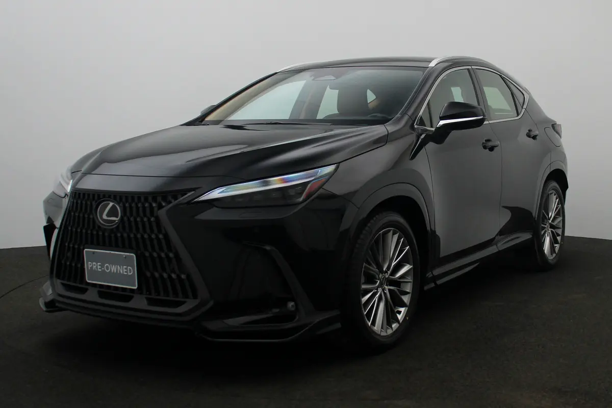 Lexus NX-Series 2024 — photo 1 of 20