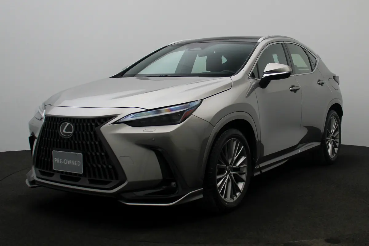 Lexus NX-Series 2024 — photo 1 of 20
