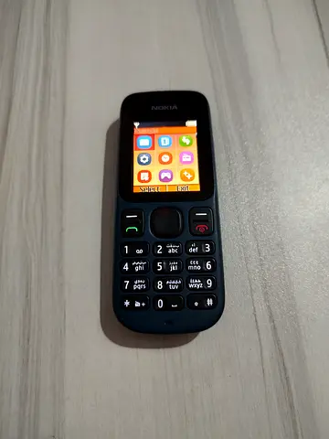 Nokia 100