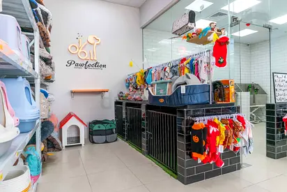 Pet Grooming Salon for Sale | Fully Operational | Excellent Location