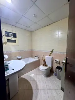Single room for working lady only .