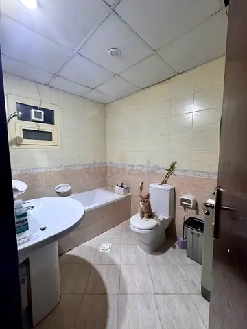 Single room for working lady only .