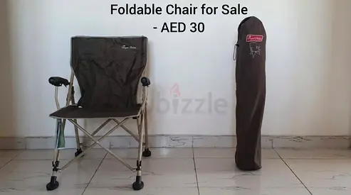 Foldable Camping/Patio Chair - Good Condition