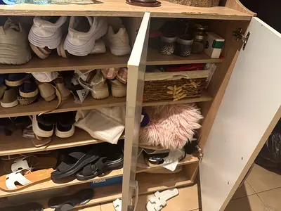 Shoe