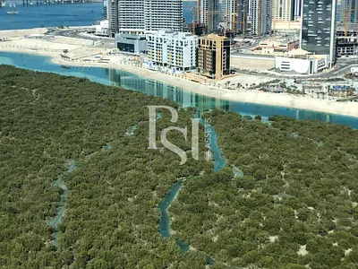 Semi Furnished | High Floor | Mangrove View