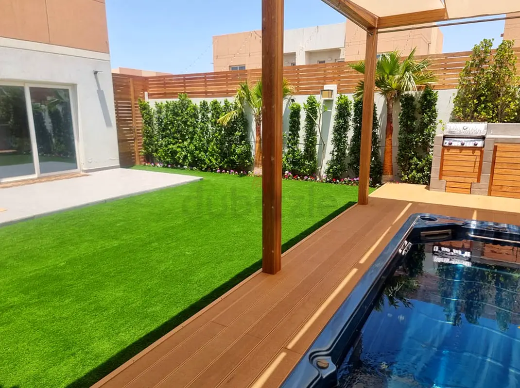 DPV_View_Image_2