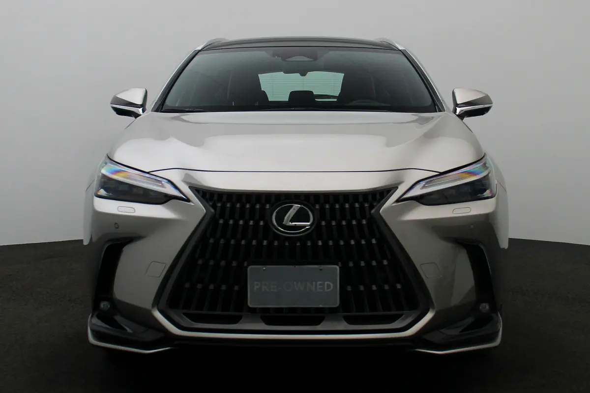Lexus NX-Series 2024