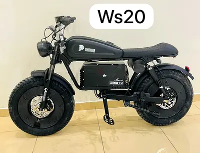 Electric Fat Tire Bike 1000W