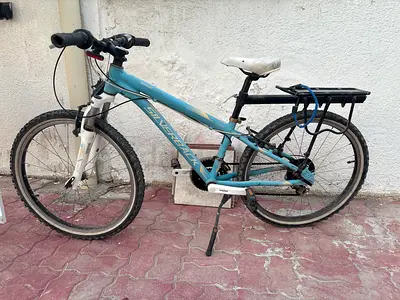 Big boy mountainbike Silverback size 24