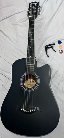 Acoustic Guitar