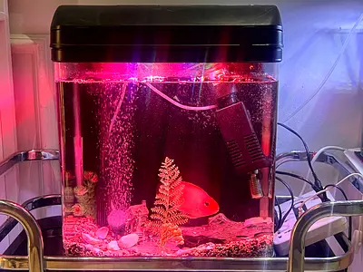 Aquarium / Fish Tank