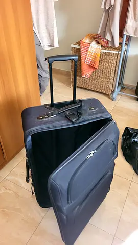1 VIP Hand luggage and 1 large luggage