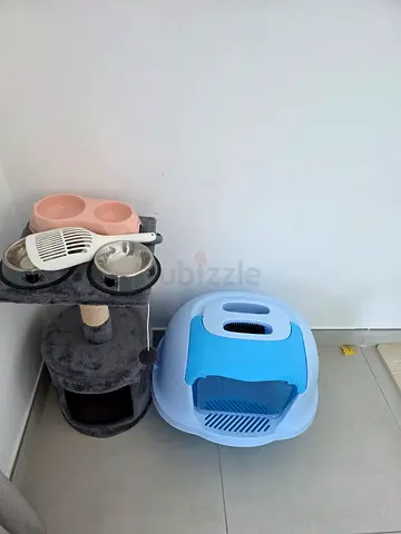 Cat Furniture  Accessories Bundle