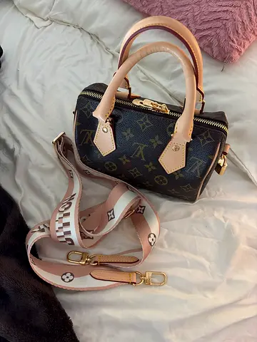 Louis Vuitton Mini Speedy 20 Mirror Quality